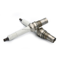1241162 Bougie d'allumage P3V3I pour générateur JGS 420 312