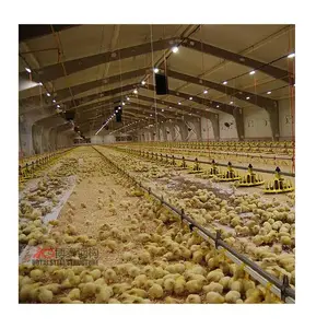 Prefabricated Assembled Poultry Chicken Breeding House