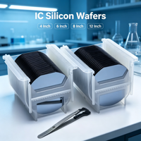 Cassette pour plaquettes de silicium 4/6/8/12 pouces, support de plaquettes semi-conductrices pour le stockage et le transport de plaquettes de silicium