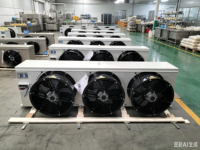 Unité de réfrigération série DL pour chambre froide, refroidisseur d'air, évaporateur à dégivrage électrique pour produits frais