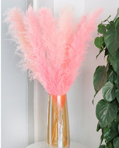 Pampas rosas perfectas para decoración del hogar, flores secas grandes y esponjosas, hierba Natural seca - Product Image 2