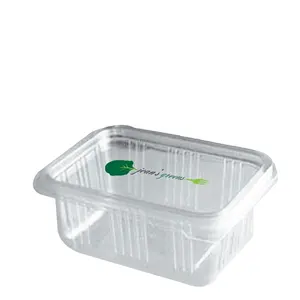 Container C5119 per merchandising personalizzato - Product Image 1