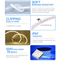 Tube LED en silicone flexible personnalisé IP67 pour extérieur, RGBIC 12V 24V 220V 5m, bande LED néon souple