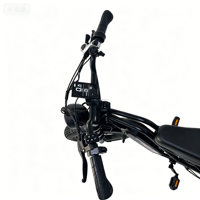 Vélo électrique à cadre en acier à haute teneur en carbone, freins à disque mécaniques à 7 vitesses, pneus de 20 pouces, phares avant, moteur sans balais 48V 500W, 13AH