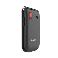 Teléfono Móvil Chino con Pantalla Táctil de 2.8 Pulgadas, Doble SIM, 4G, Bajo Precio, Compatible con WhatsApp
