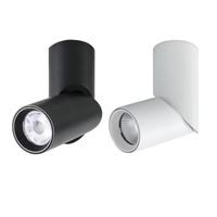Spots LED rotatifs à intensité variable 9W 15W 24W COB, éclairage de plafond, lampe murale LED AC110-220V, éclairage intérieur blanc chaud et froid