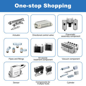 Manometro Esterno Bianco per Processore di Fonte d'Aria <span class=keywords><strong>Afc</strong></span>/Afr Ar2000/4000, Marchio OEM, 1 Anno di Garanzia, Agente Cinese - Product Image 4