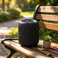 Mini-enceinte sans fil TWS RGB V5.3 étanche IPX7 avec micro intégré pour ordinateur et téléphone portable – Vente en gros audio