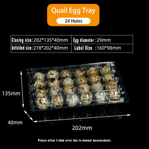 ถาดพลาสติกบรรจุไข่นกกระทา วัสดุ PET ทนทานสำหรับการค้า ใช้สำหรับเก็บไข่ขนาดเล็ก สะอาด ปลอดภัย สำหรับใช้ในฟาร์ม ผลิตด้วยกระบวนการบลิสเตอร์ - Product Image 6