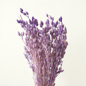 Yongsheng Flower - Ramo de Flores Importadas de Hierba Voladora, Venta al por Mayor de Fábrica, Decoración para el Hogar - Product Image 4
