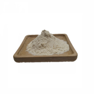 Extrait de Fruit du Moine Naturel en Poudre 50% Mogroside V – Édulcorant de Fruit du Moine Fournisseur d'Usine - Product Image 1