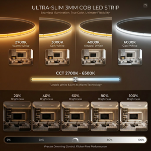 Ruban <span class=keywords><strong>LED</strong></span> COB 400 <span class=keywords><strong>LED</strong></span>/m 5mm de large DC12V 10W/M CRI 92+ Sans points IP20 Dimmable Flexible pour Décoration Intérieure d'Armoires - Product Image 5