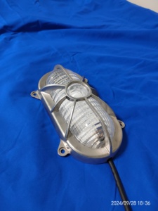 Led 316 thép không gỉ chống thấm tường đèn <span class=keywords><strong>IP66</strong></span> IK08 đồng bằng hình bầu dục vách ngăn ánh sáng - Product Image 5