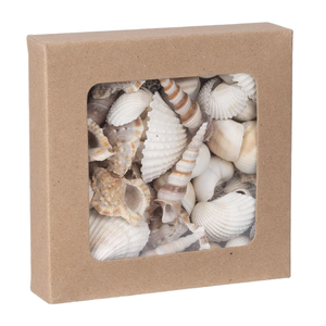 Natural Handicrafts Raw Seashell Fish for Vase Small Accessories Decoration 1-3CM White Scallops <b>Ornaments</b> - Product Image 1