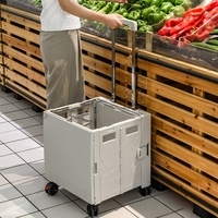 Chariot de camping pliable en plastique avec roues pour monter les escaliers - Petit chariot