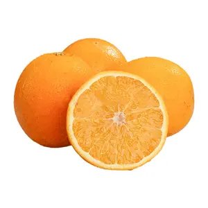 Naval Orange Valencia Oranges Sweet Fresh Mandarin Orange Fresh Orange Fresh Fruits