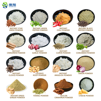 Best Price Wholesale Food Flavor Powder Ingredient Seasoning Blend Powder for Cooking Mix Seasoning Powder