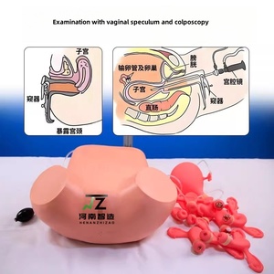 โมเดลการตรวจทางนรีเวชทาง<span class=keywords><strong>ก</strong></span>ารแพทย์ฟอกหนังขั้นสูง - Product Image 5