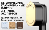 Fer à repasser et défroisseur vapeur électrique en céramique pour vêtements, avec générateur de vapeur, pour éliminer les plis profonds - Portable pour usage domestique
