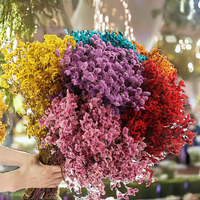 Grosir bunga diawetkan dengan batang kristal abadi rumput Limonium dekorasi acara pernikahan kering untuk Hari Valentine