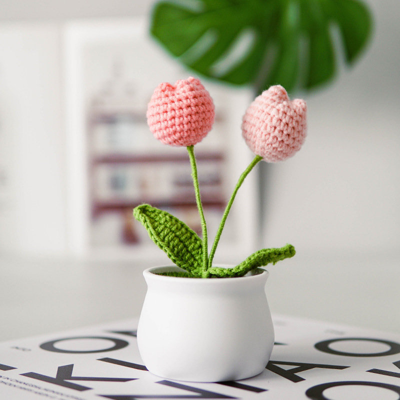 Tulipano rosa 2 teste