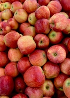 Appelfabriek Levering 2022 Nieuwe Oogst Verse Appel Groothandel Vers Fruit Rode Appelfruit Uit China