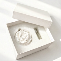 Diffuseur d'huiles essentielles en céramique parfumée, fait main, en porcelaine blanche, motif pivoine, pour la maison