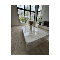 Newstar italien moderne meubles de maison de luxe en marbre blanc salon Rectangle Table centrale