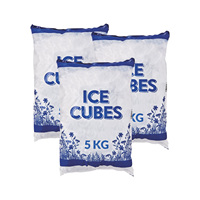 Machine automatique de remplissage et de scellage de glaçons de 250g à 5000g