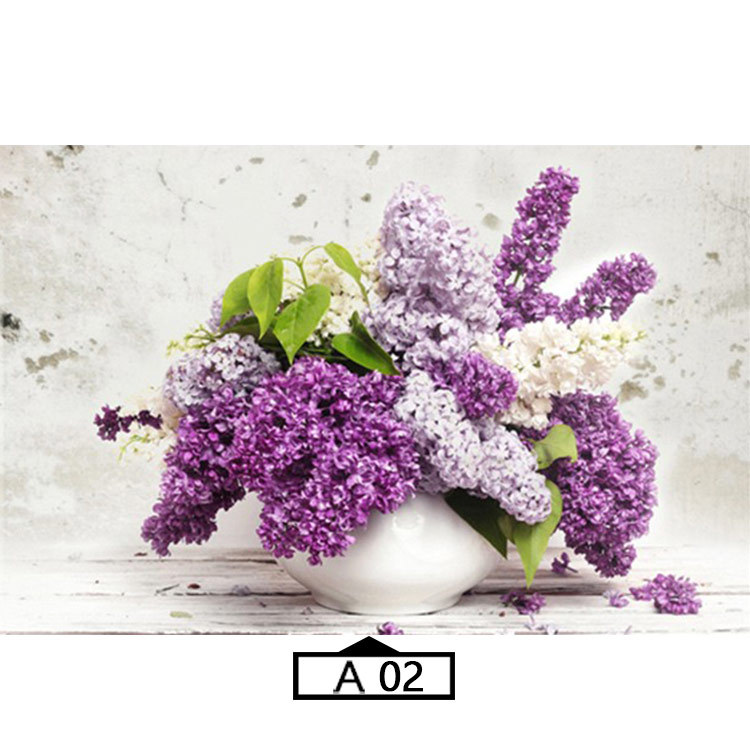Multicolor-A02