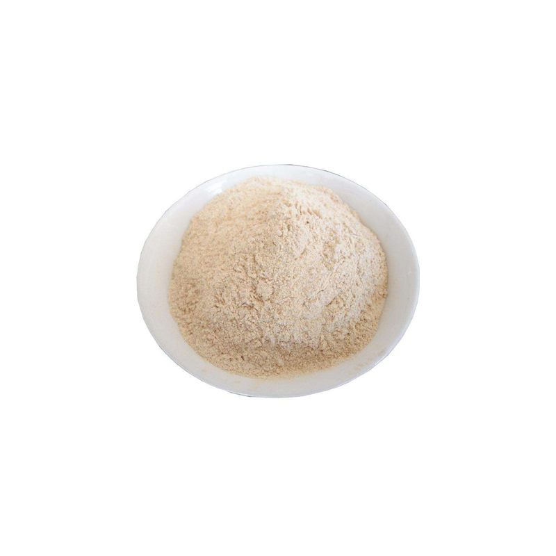 Hot Sale 100% Pure 80-100 Mesh China 25kg Garlic Extract Garlic Powder