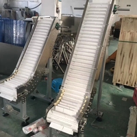 Transportador de Cadena Modular de Cangilones Independientes para Elevación Suave de Productos en Líneas de Procesamiento de Snacks
