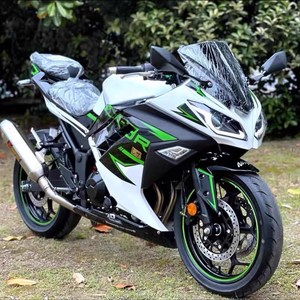 Moto sportive sans marque homologuée pour la route, sans balais, <span class=keywords><strong>Kawasaki</strong></span> Ninja 400cc, pour adulte, Horizon Z Race, système de carburant, >180km/h - Product Image 2