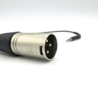 Qualité sonore haute fidélité Mini TRS 3.5MM prise stéréo 3 pôles vers XLR 3Pin câble Audio mâle câble Audio XLR