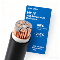 Câble d'alimentation isolé au cuivre avec gaine en PVC pour câblage de bâtiments et projets de construction