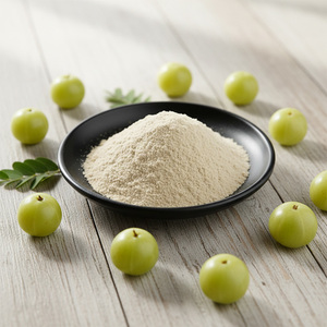 Poudre de fruit d'<span class=keywords><strong>Amla</strong></span> riche en vitamine C en gros, poudre naturelle de groseille à maquereau, poudre d'<span class=keywords><strong>Amla</strong></span> pour les cheveux - Product Image 5