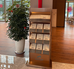 Présentoir de brochures de largeur d'étagère multifonctions Installation facile Présentoir en métal de style moderne pour journaux - Product Image 2