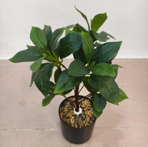 Árbol del Dinero Artificial, Planta Verde Decorativa en Maceta, Bonsái con Hojas de Dinero para Interiores, Sala de Estar - Product Image 3