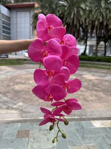 BF-OD15-1 Tendances actuelles : Orchidées Phalaenopsis artificielles à 9 têtes, toucher réel, violet foncé, pour décorations de mariage et de maison - Product Image 4