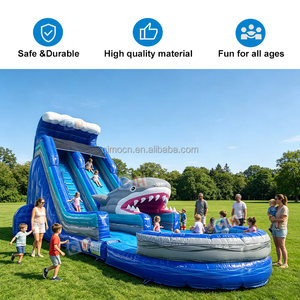 Toboggan aquatique gonflable géant pour usage commercial, toboggan aquatique gonflable extérieur <span class=keywords><strong>avec</strong></span> piscine - Product Image 3