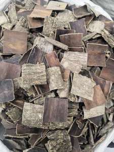 卸売工場直送 高品質 人気 中国漢方 杜仲樹皮 漢方薬 乾燥杜仲 - Product Image 3