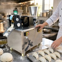 Machine automatique pour la fabrication de raviolis, samosas et empanadas pour usage domestique et restaurants, capacité de 150 kg/h