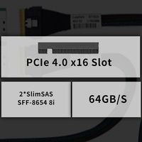 Kartu Adaptor Redriver Switch MIwin Custom PCIe 4.0 X16 ke 2* SFF 8654 X8 untuk Ekspansi GPU, Kartu Retimer OEM PCIE 4.0 untuk Penggunaan Server