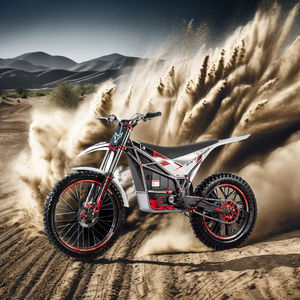 Moto cross électrique en gros de Chine, vitesse super rapide 90 km/h, motos tout-terrain électriques Arctic Leopard E <span class=keywords><strong>XT500</strong></span> - Product Image 3