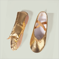 Chaussons de danse unisexe à semelle fendue en PU et coton, motif patte de chat, pour entraînement et performance sur scène, vente en gros BX15 Or Argent