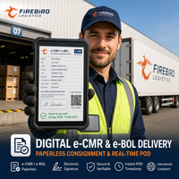 Expédition de fret sur palette Firebird DDP par camion, évitant les frais supplémentaires pour le surpoids et la traçabilité des envois express pour les vendeurs transfrontaliers
