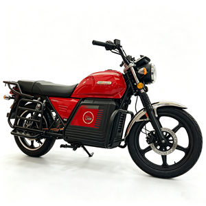 Moto, tout-terrain, freins à disque avant et arrière, livraison directe usine pour achat en gros - Product Image 4