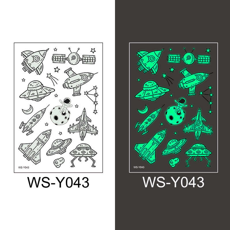 WS-Y043