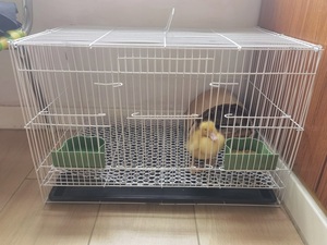 Jaula Grande para Mascotas Pequeñas de Interior, Jaula de Alambre con Bandeja Extraíble, Comederos, para Patitos, <span class=keywords><strong>Conejos</strong></span>, Cobayas y Mascotas Jóvenes - Product Image 3