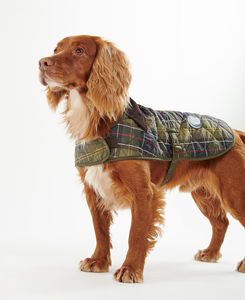 Chaquetas Clásicas de Invierno de Algodón <span class=keywords><strong>para</strong></span> Perros <span class=keywords><strong>Golden</strong></span> <span class=keywords><strong>Retriever</strong></span> al por Mayor - Abrigos Impermeables de Lujo Personalizados <span class=keywords><strong>para</strong></span> Perros <span class=keywords><strong>para</strong></span> Aventuras al Aire Libre - Product Image 5